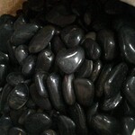 广东大量出产黑色天然鹅卵石园林庭院装饰石材