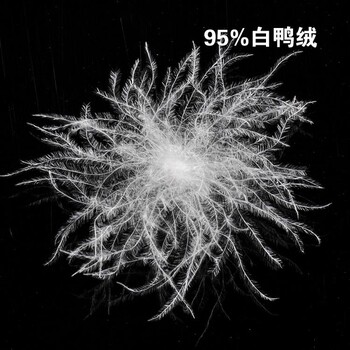 90白鸭绒90白鹅绒价格