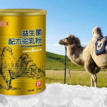 骆驼奶粉新疆产地特色乳品全国招商科代工oem