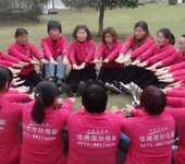 杭州幼儿早期教育指导培训