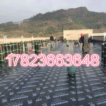 重庆防水材料厂家防水施工防水材料批发代理价格