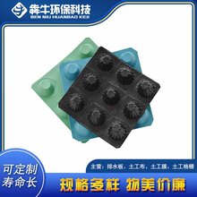 湖州市口碑厂家hdpe绿化种植防水排水板图片