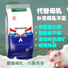 猪乐宝(喜来高)图片
