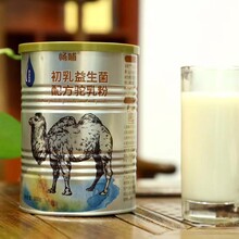 新疆伊犁畅哺中老年益生菌骆驼奶粉300g罐装驼奶厂家驼奶粉