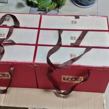 宠物托运图片