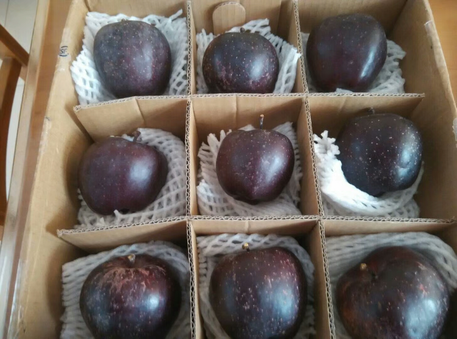 紅紫菜蘋(píng)果苗品種全，包成活