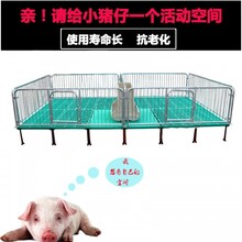 畜牧养殖设备小猪保育床仔猪复合保育床