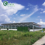 玻璃温室大棚工程方案智能玻璃温室大棚设计