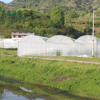 连栋薄膜温室定制蔬菜花卉种植薄膜温室大棚建设