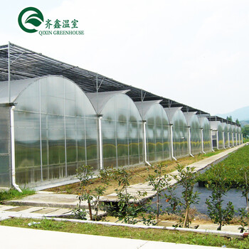 連棟薄膜溫室大棚建設薄膜溫室大棚廠家