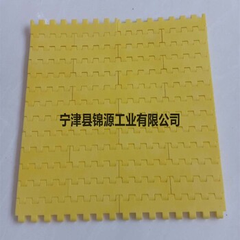 厂家供应塑料网带输送带5935型19.05节距食品加工塑料网带