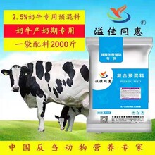 高产奶牛专用预混料提高产奶量