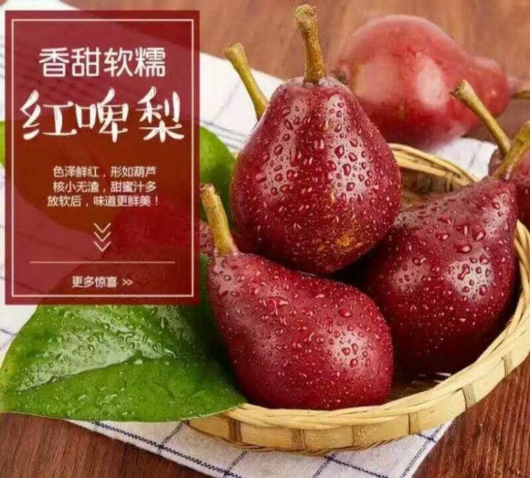 脆甜無渣梨樹苗種植基地