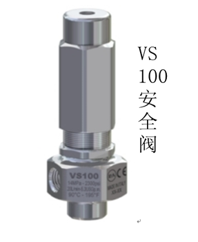VS100-AISI316意大利PA進口安全閥、進口調壓閥品質