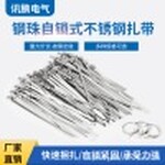 钢珠自锁式不锈钢扎带4.6~19mm宽度船用电缆扎带304喷塑扎带