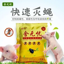 舍无忧灭蝇王猪场灭除苍蝇蝇子药诱饵引诱剂粉长效养殖场家用护外