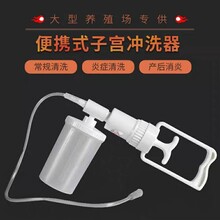 动物性畜母牛羊用子宫清洗涤器外阴道手冲清宫自吸工具