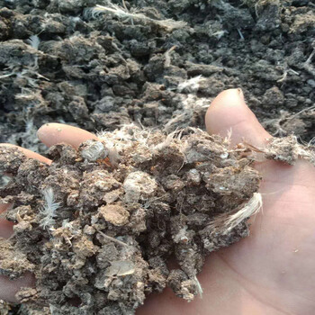 徐州邳州鸡粪有机肥施入土壤后多久可以播种不发酵的能直接使用不