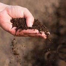 陕西宝鸡蚯蚓粪肥助农增收好肥料