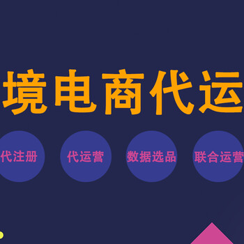 亚马逊代运营服务深圳亚马逊代运营公司跨境电商代运营