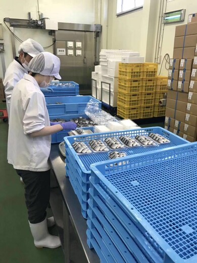 出国打工加拿大招工食品厂招普工正规工签合法打工