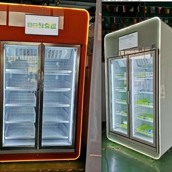 广州生鲜售卖机蔬果贩卖机重力感应贩卖机