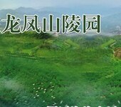 龙凤山陵园,巴南区公墓,专车免费接送双墓6800起