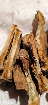 呼和浩特生產(chǎn)大黃功效與作用,大黃片