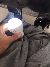 石墨烯点亮灯泡抗菌针织汗布图片