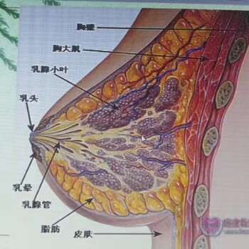 兴义住家保姆