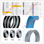 专注二十年进口密封圈代理销售-大连松千