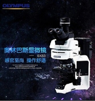 BX53生物显微镜
