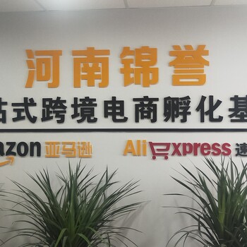 河南锦誉-锦誉跨境专注亚马逊运营6年