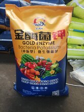 山东济宁市厂家直销金酶菌钾微生物冲施型菌剂图片