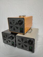 小型臭氧机空间净化器消毒机安全杀菌除甲醛臭氧发生器预防病菌图片