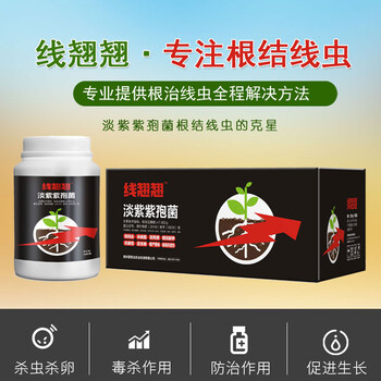 生姜根結(jié)線蟲(chóng)防治藥肥-線翹翹淡紫紫孢菌線蟲(chóng)藥