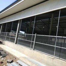 防水防寒猪场圈帘布透光保暖卷帘布牛棚鸡舍卷帘布图片