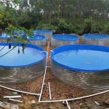 储水帆布水池直销环保鱼池制作厂家湛江养殖牛蛙必备水池鱼池图片