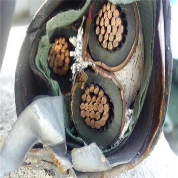 潍坊废旧电缆回收-二手电缆回收-合理报价-上门回收