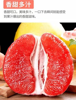 红心柚广东梅州三红蜜柚产地红肉蜜柚新鲜水果批发