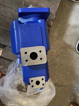 柳工配件11C0317齒輪泵液壓件
