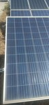 太陽能板發電太陽能光伏組件硅料托盤硅粉硅錠圖片0