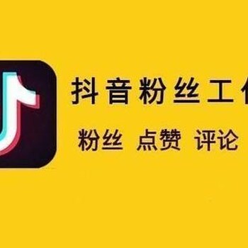 抖音辅助中小型企业