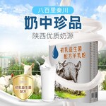 300克初乳益生菌配方羊奶粉厂家直营产品批发OEM贴牌代加工