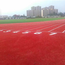 硅PU球场,塑胶跑道,EPDM塑胶地面,草坪材料厂家,承接全国工程图片