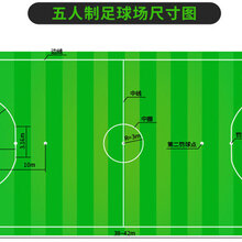 EPDM彩色塑胶地面,人造草坪,塑胶跑道及硅PU图片