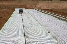 厂家三维侵蚀防护毯水利工程河道边坡植草护坡图片5