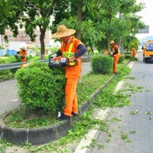 深圳园林绿化
