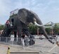大型双层载人巡游机械大象，对动会叫机械大象，全国出租出售