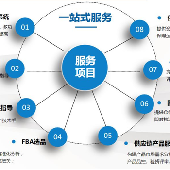 亚马逊上货系统erp贴牌翻译立部署